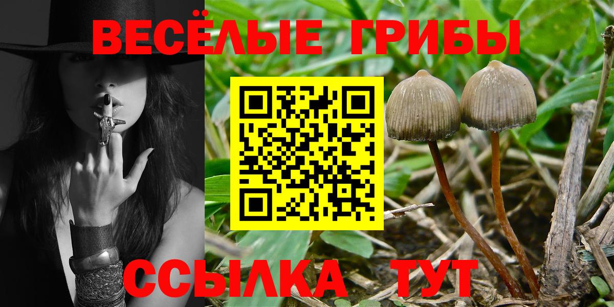 Галлюциногенные грибы мицелий Вичуга